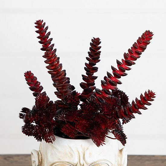 Nearly Natural 10" Zombie Artificial Plant