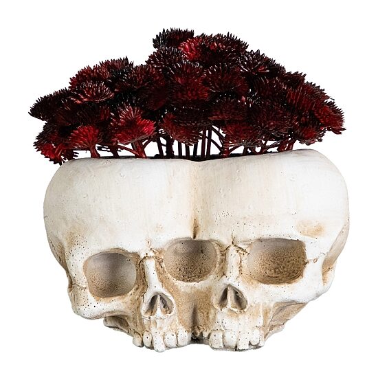 Nearly Natural 6" Double Skull Artificial Plant