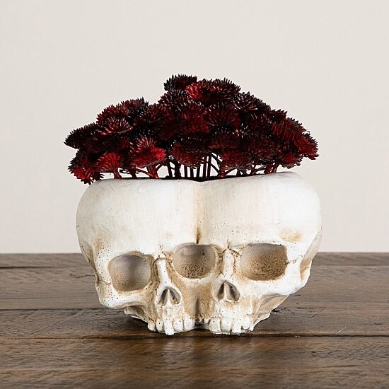 Nearly Natural 6" Double Skull Artificial Plant