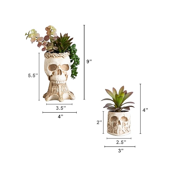 Nearly Natural 2-pc. 9" Skull Artificial Plant