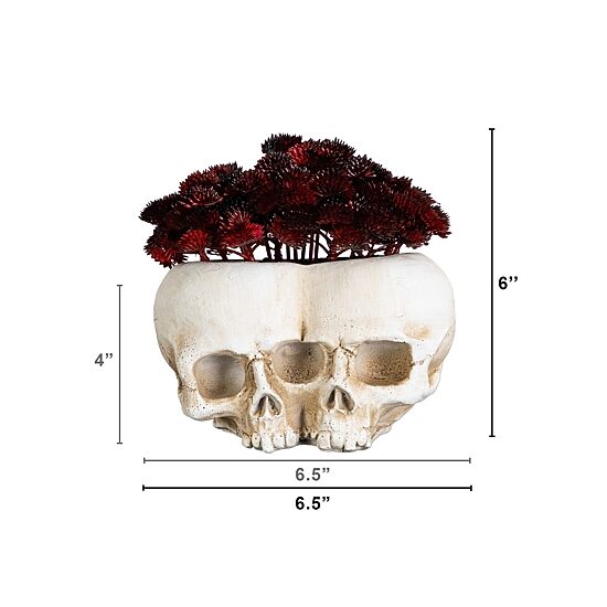 Nearly Natural 6" Double Skull Artificial Plant