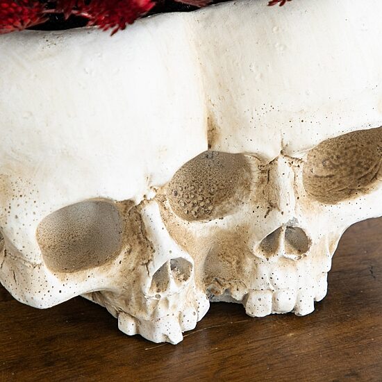 Nearly Natural 6" Double Skull Artificial Plant