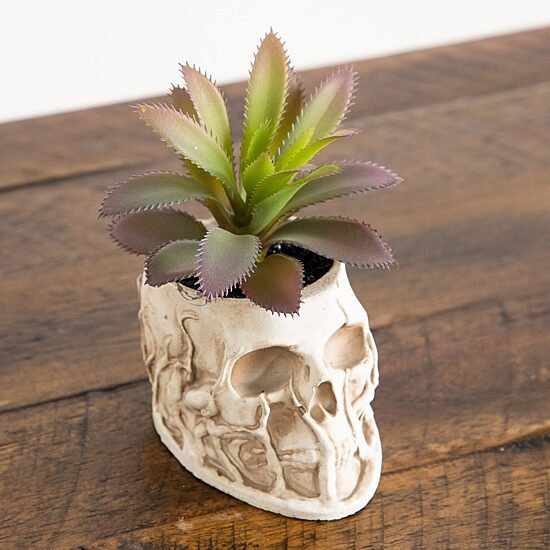 Nearly Natural 2-pc. 9" Skull Artificial Plant