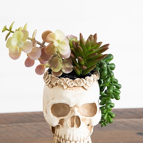 Nearly Natural 2-pc. 9" Skull Artificial Plant