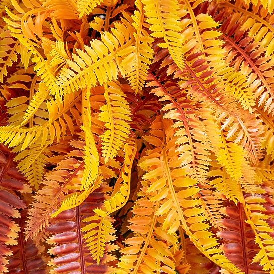 Nearly Natural 36" Fern Thanksgiving Hanging Basket