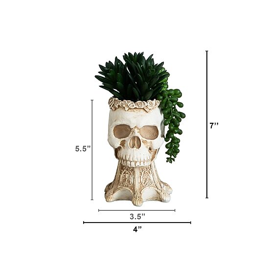 Nearly Natural 2-pc. 7" Skull Artificial Plant
