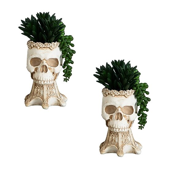 Nearly Natural 2-pc. 7" Skull Artificial Plant