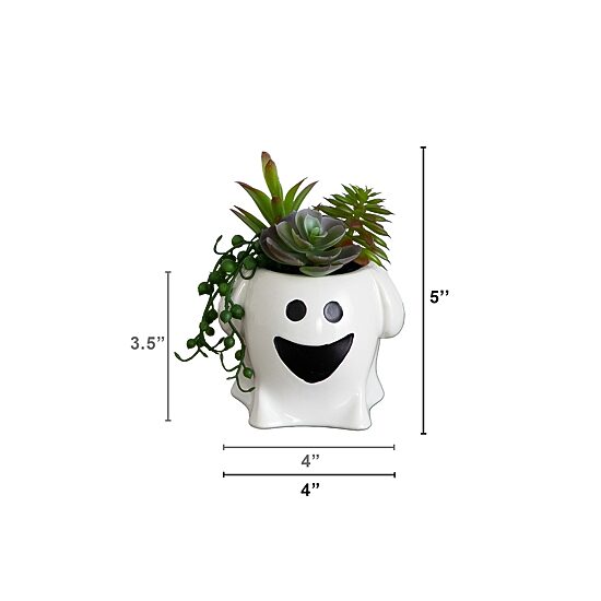 Nearly Natural 2-pc. 5" Happy Ghost Artificial Plant