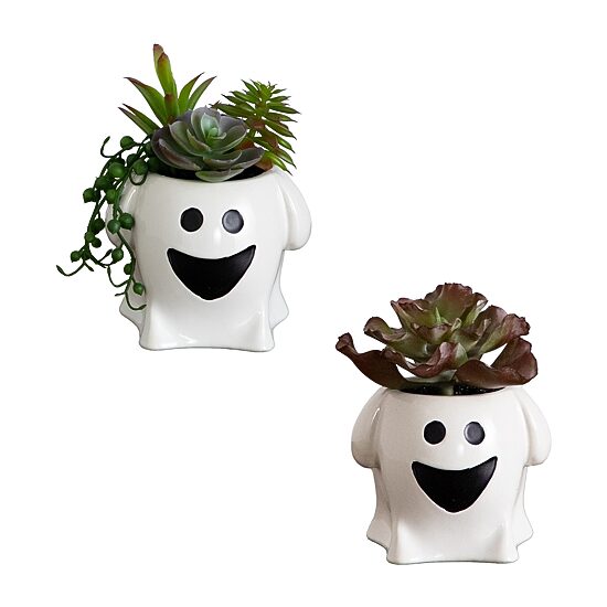 Nearly Natural 2-pc. 5" Happy Ghost Artificial Plant