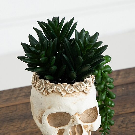 Nearly Natural 2-pc. 7" Skull Artificial Plant