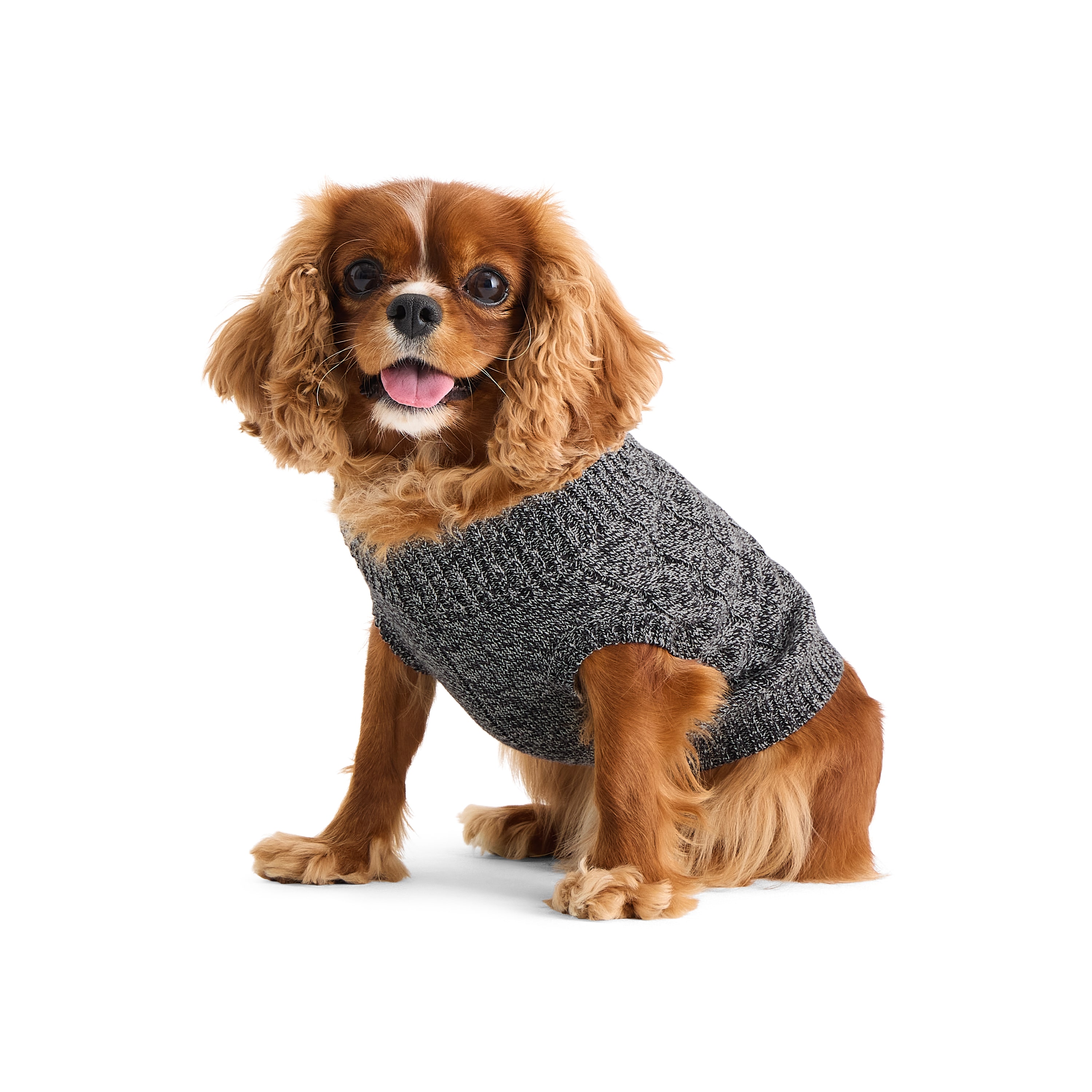 St. Johns Bark Dog Sweater
