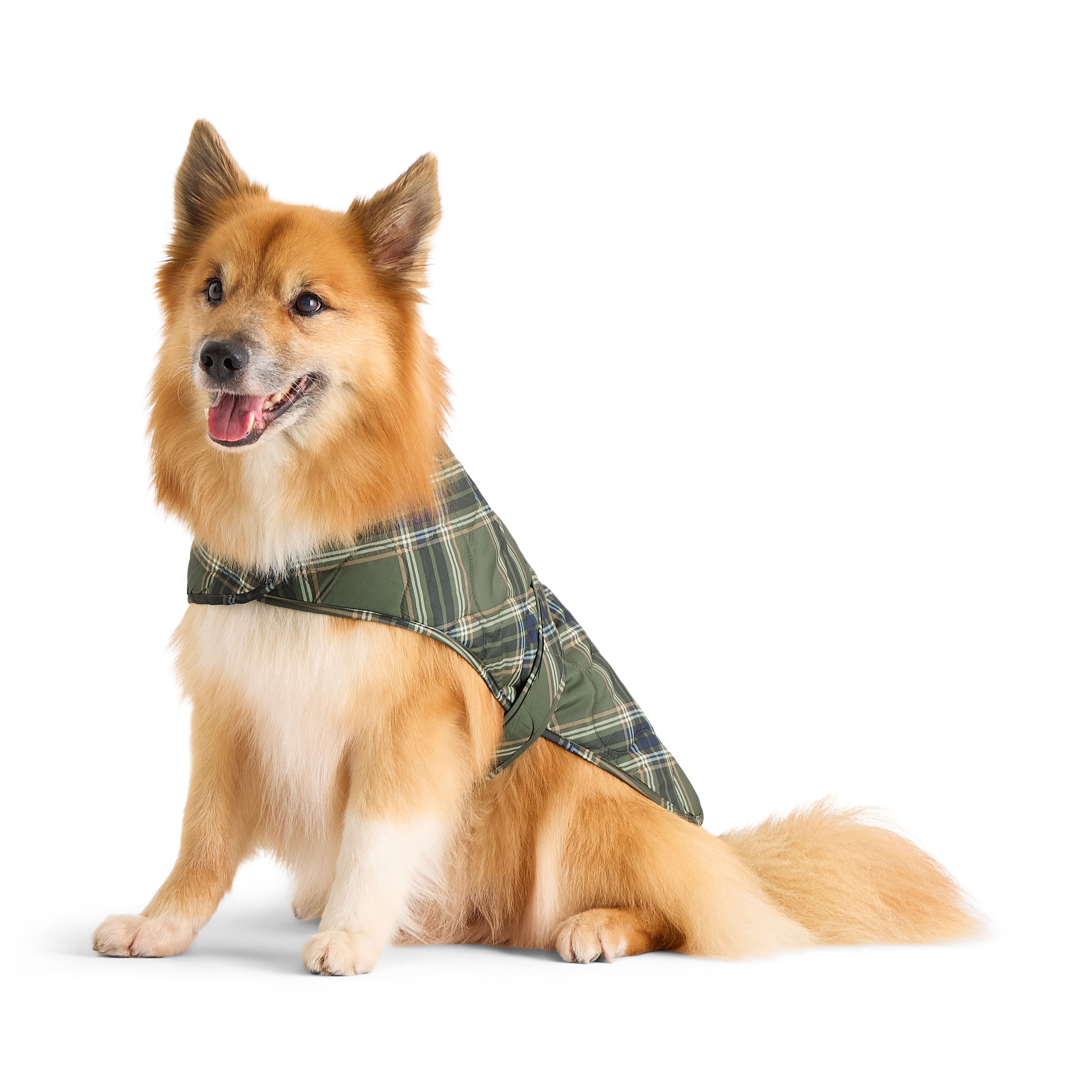 St. Johns Bark Animal Dog Coat