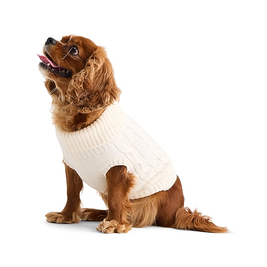 St. Johns Bark Dog Sweater