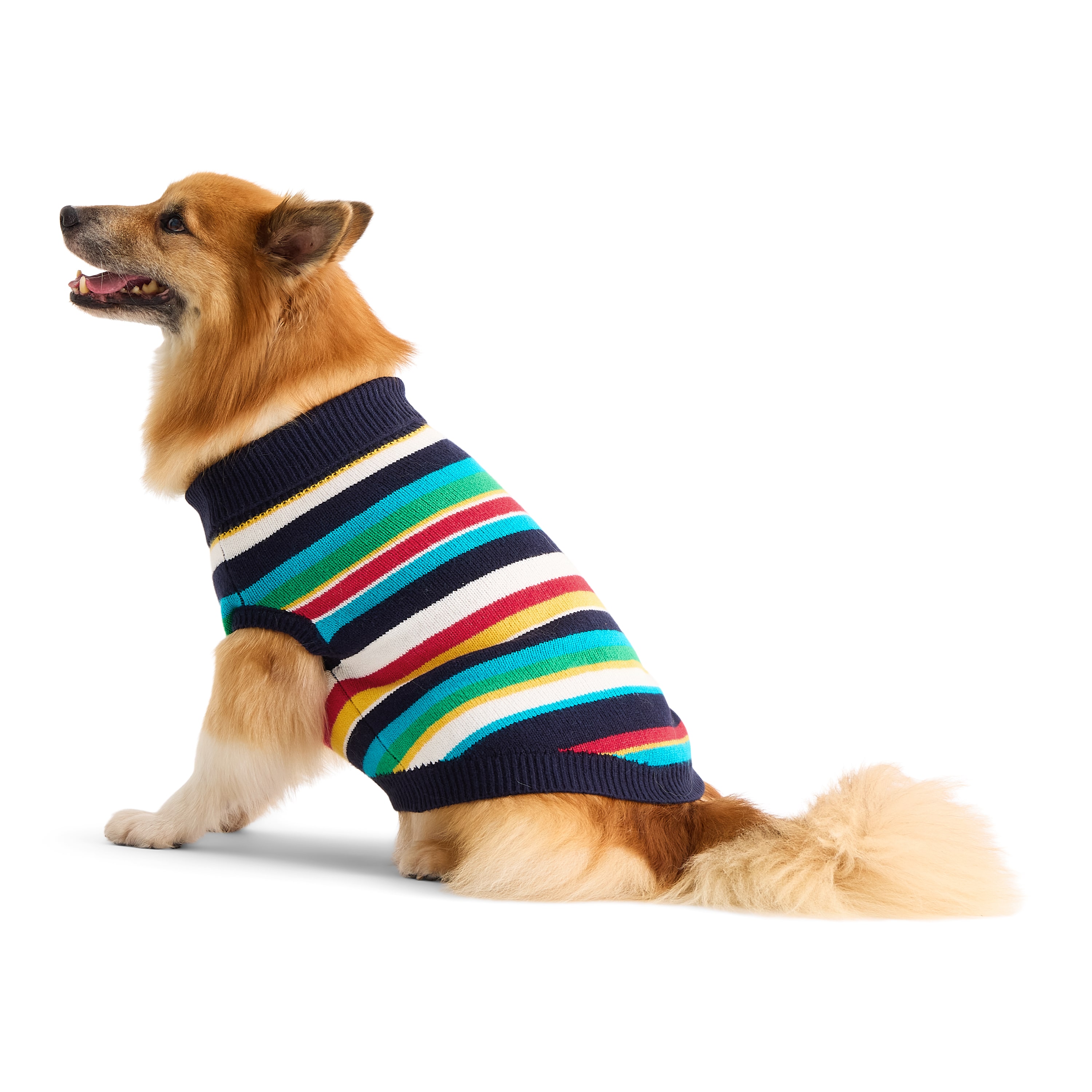 North Pole Trading Co. Dog Sweater