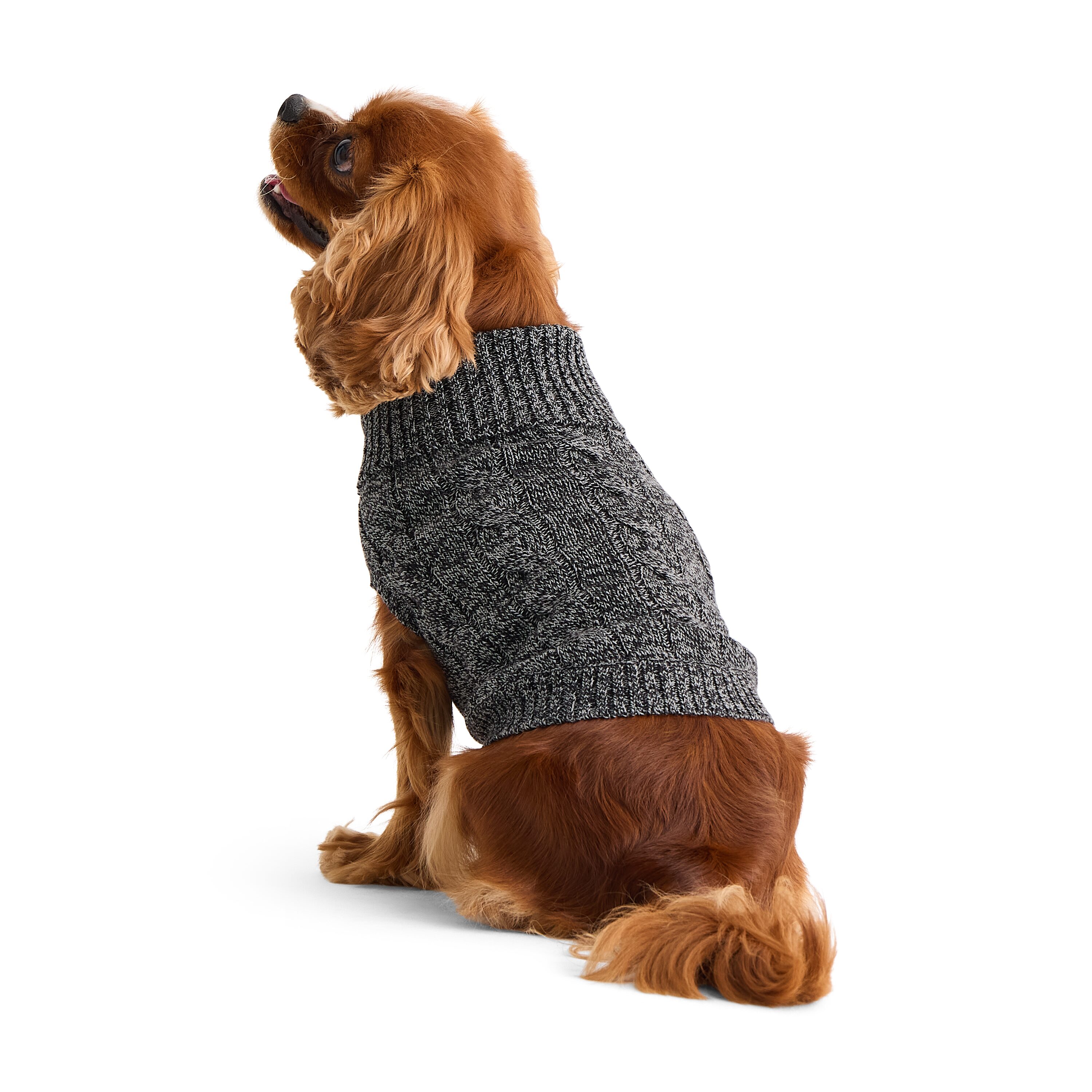 St. Johns Bark Dog Sweater