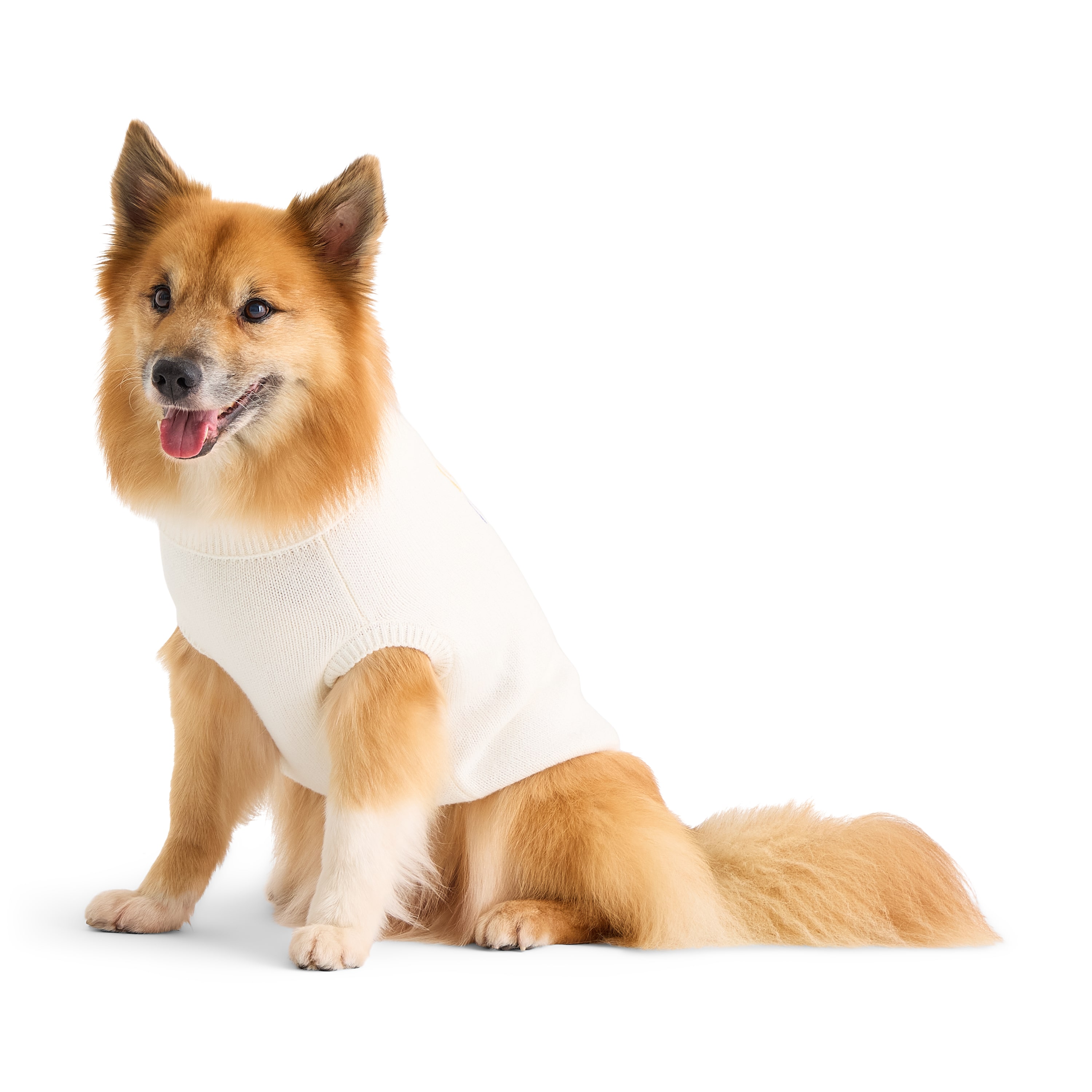 North Pole Trading Co. Dog Sweater