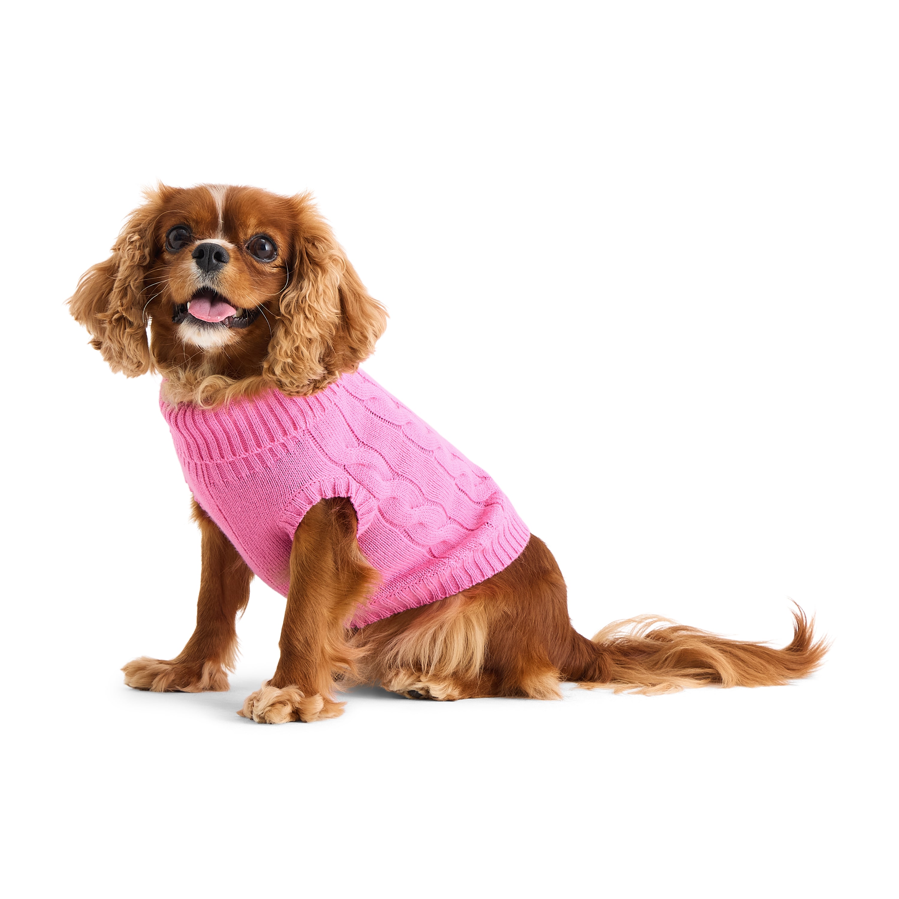 St. Johns Bark Dog Sweater