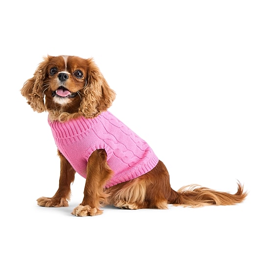 St. Johns Bark Dog Sweater