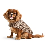 St. Johns Bark Animal Dog Coat