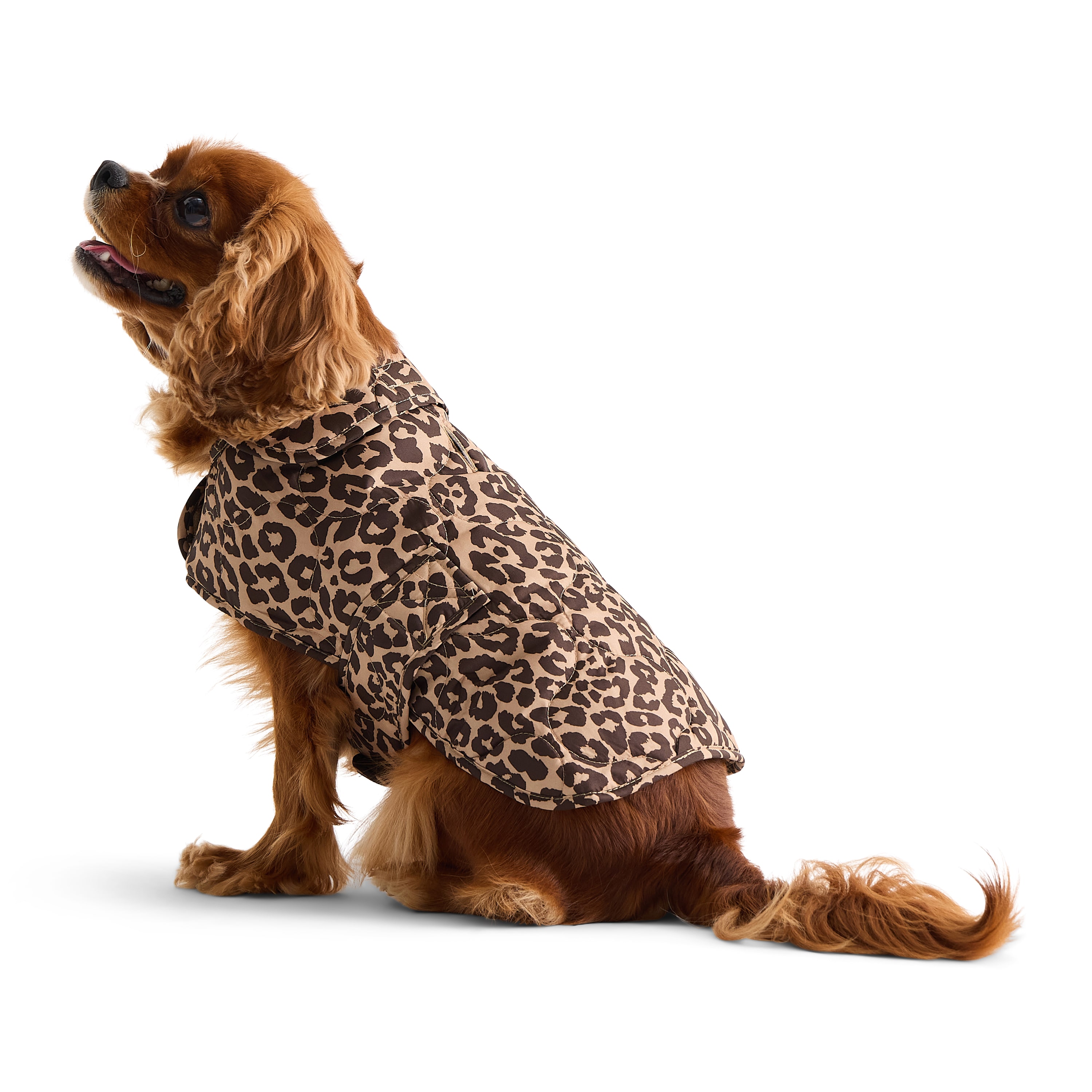 St. Johns Bark Womens Quilted Vest