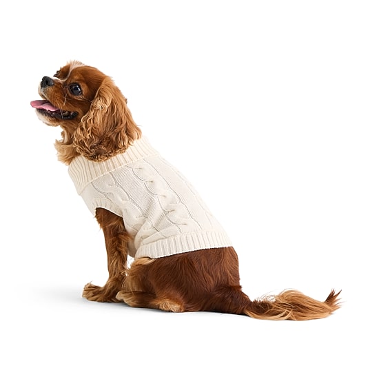 St. Johns Bark Dog Sweater