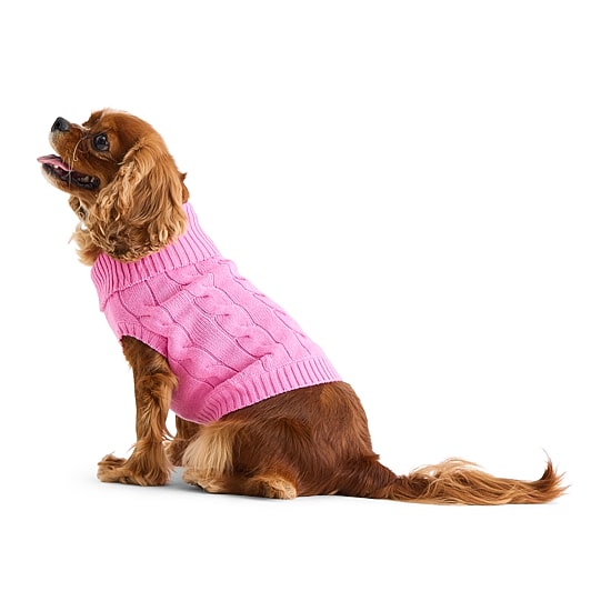 St. Johns Bark Dog Sweater