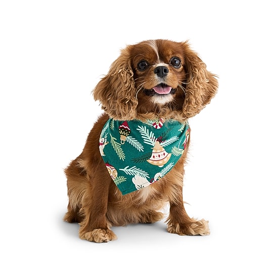 NOEL PET BANDANA
