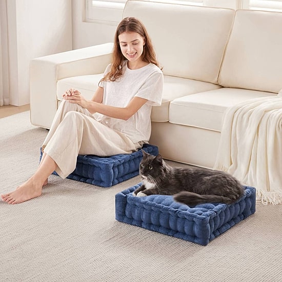 Intelligent Design Charvi Floor Pillow