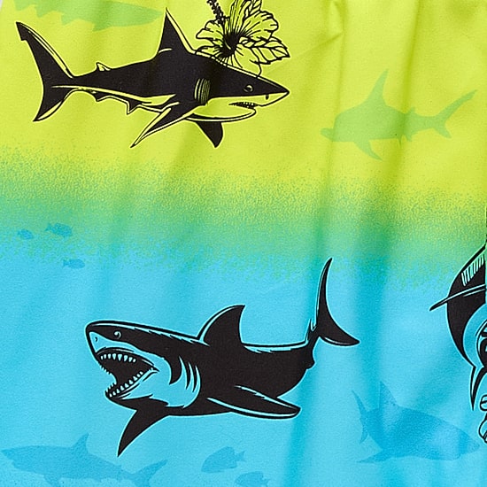 ZeroXposur Big Kid Boys Board Shorts