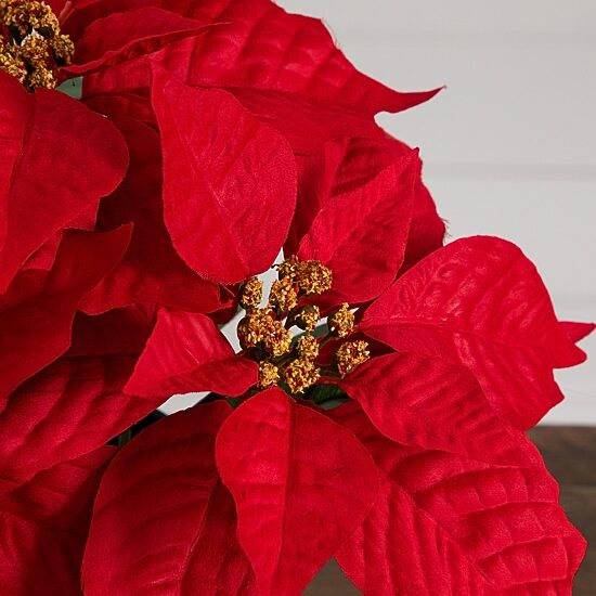 Nearly Natural 9" Poinsettia 2-pc. Floral Arrangement