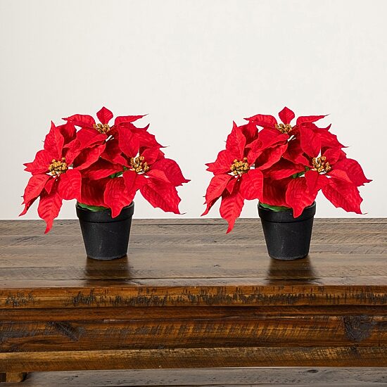 Nearly Natural 9" Poinsettia 2-pc. Floral Arrangement