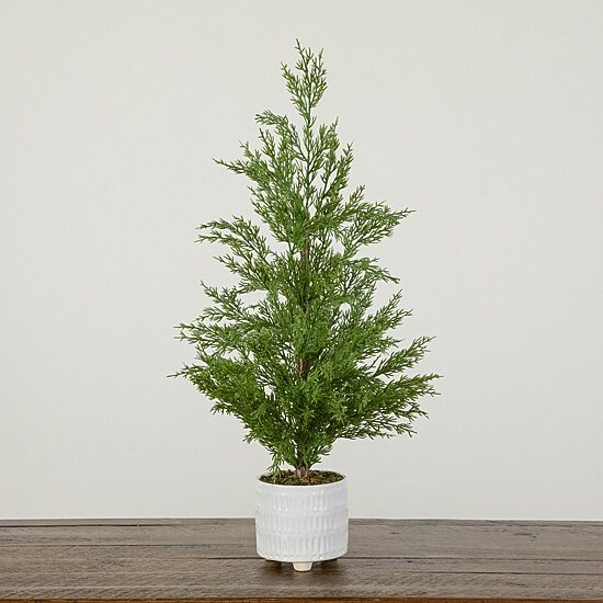 Nearly Natural 2ft Norfolk Pine 2 Foot Pine Christmas Tree