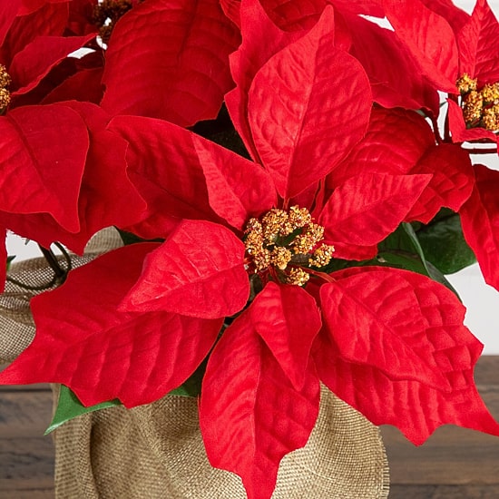 Nearly Natural 13" Poinsettia 2-pc. Floral Arrangement