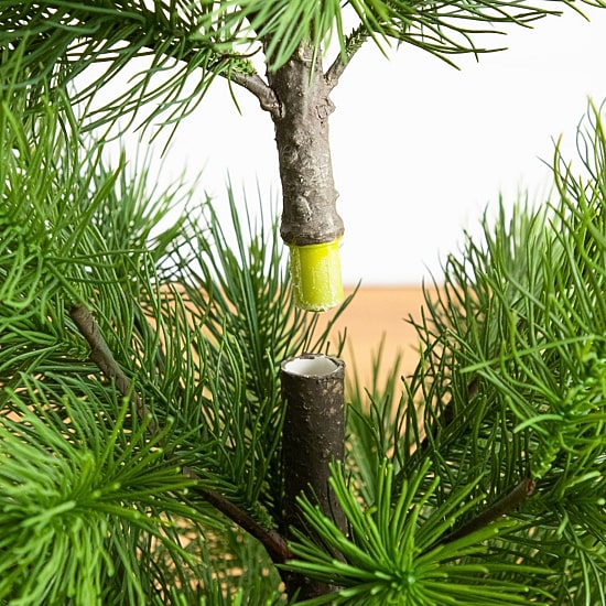 Nearly Natural Real Touch Masson Pine 4 Foot Pine Christmas Tree