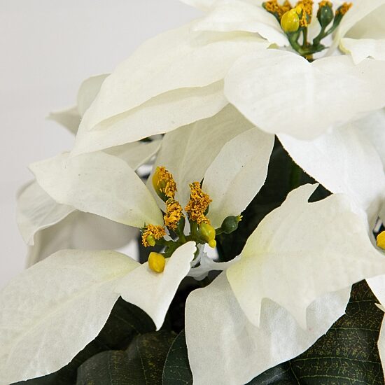 Nearly Natural 9" White Poinsettia 3-pc. Floral Arrangement
