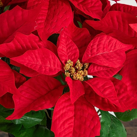 Nearly Natural 15" Poinsettia Floral Arrangement