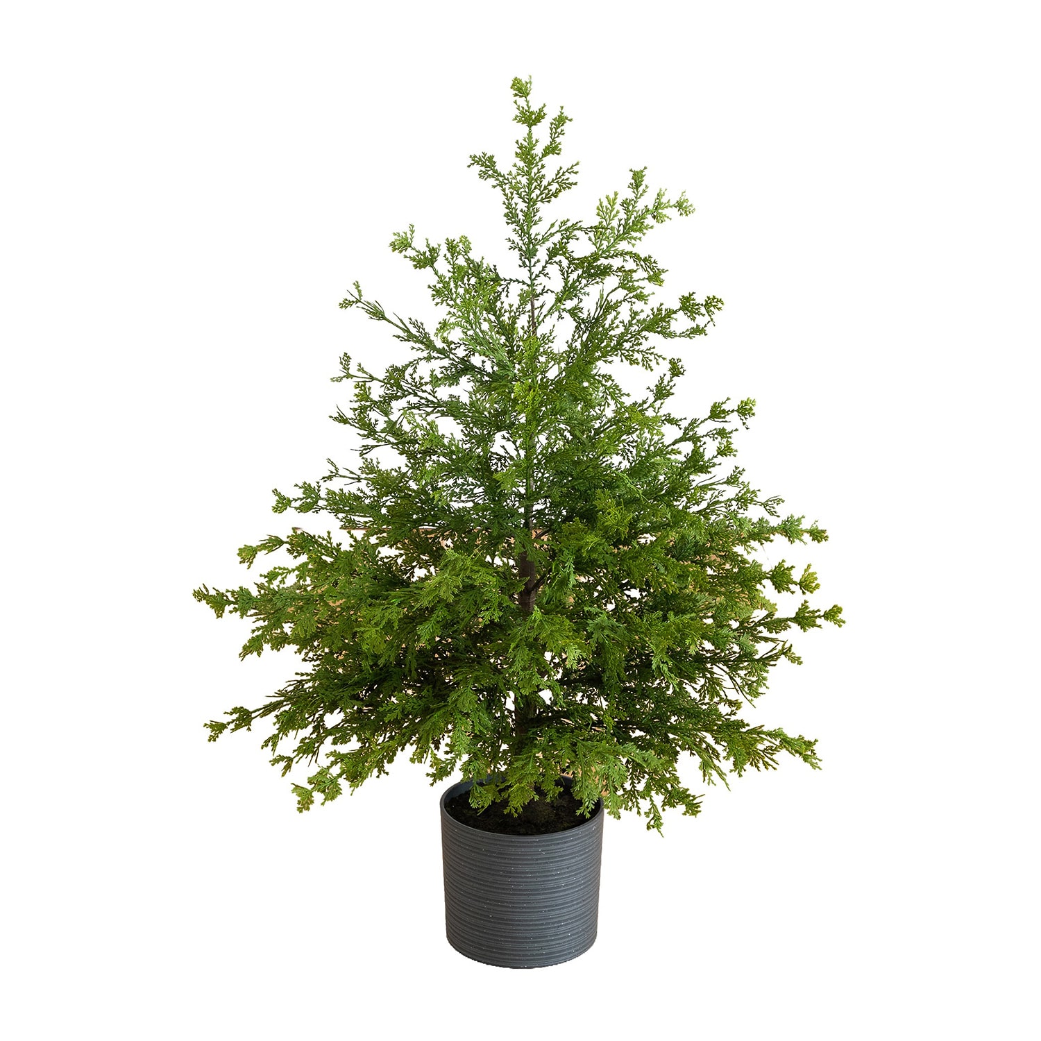 Nearly Natural 3ft Cedar 3 Foot Cedar Christmas Tree