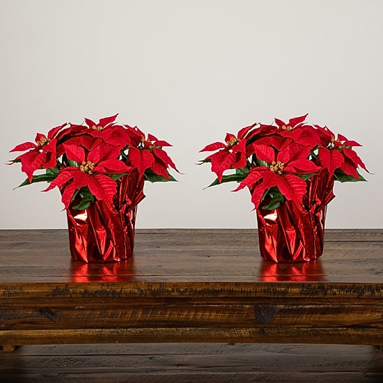 Nearly Natural 13" Poinsettia Arrangement 2-pc. Floral Arrangement