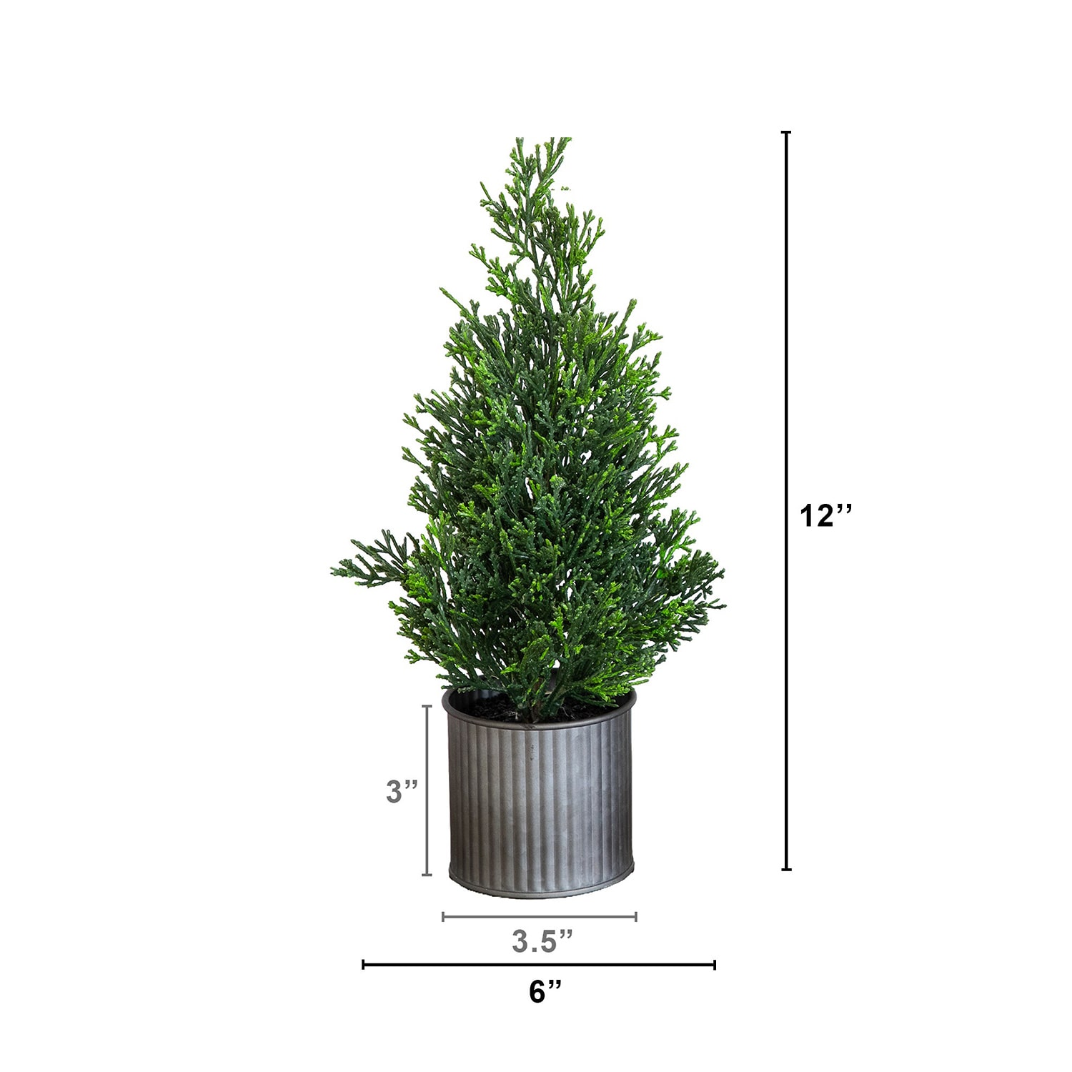 Nearly Natural 12" Mini Cedar Pine 1 Foot Cedar Christmas Tree