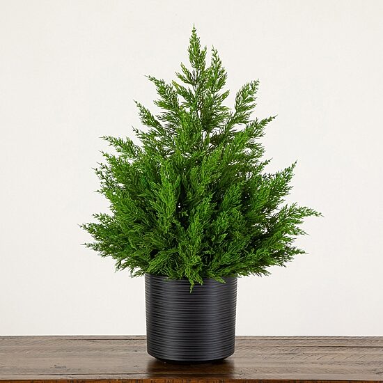 Nearly Natural 28" Winter Cypress 2 1/2 Foot Christmas Tree