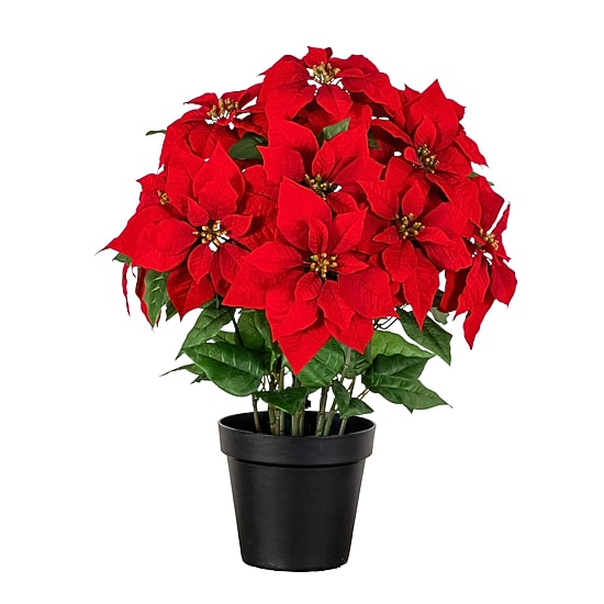 Nearly Natural 30" Pre-Lit Grand Velvet Poinsettia Floral Arrangement