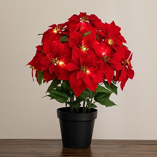 Nearly Natural 30" Pre-Lit Grand Velvet Poinsettia Floral Arrangement