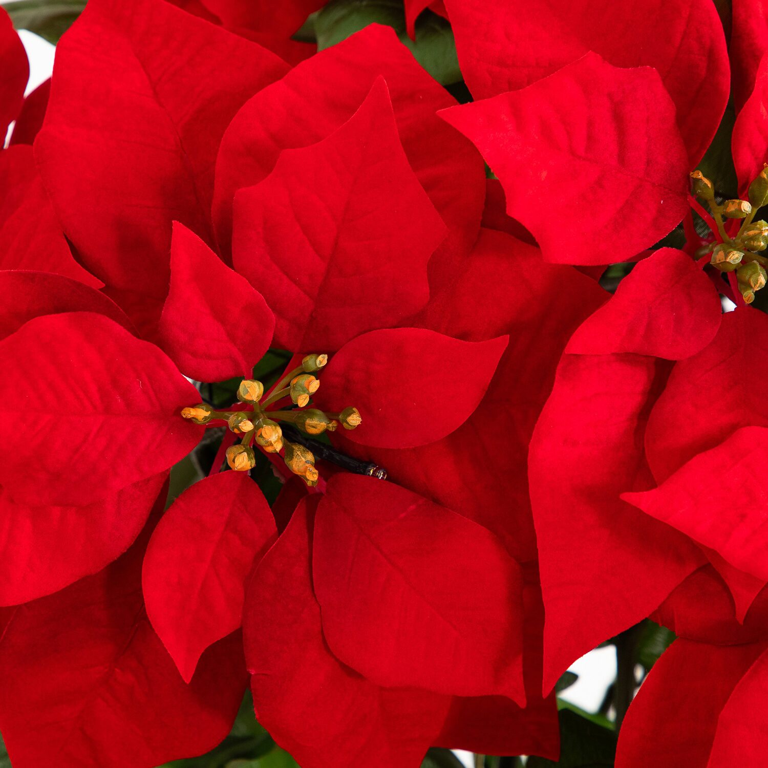 Nearly Natural 30" Pre-Lit Grand Velvet Poinsettia Floral Arrangement