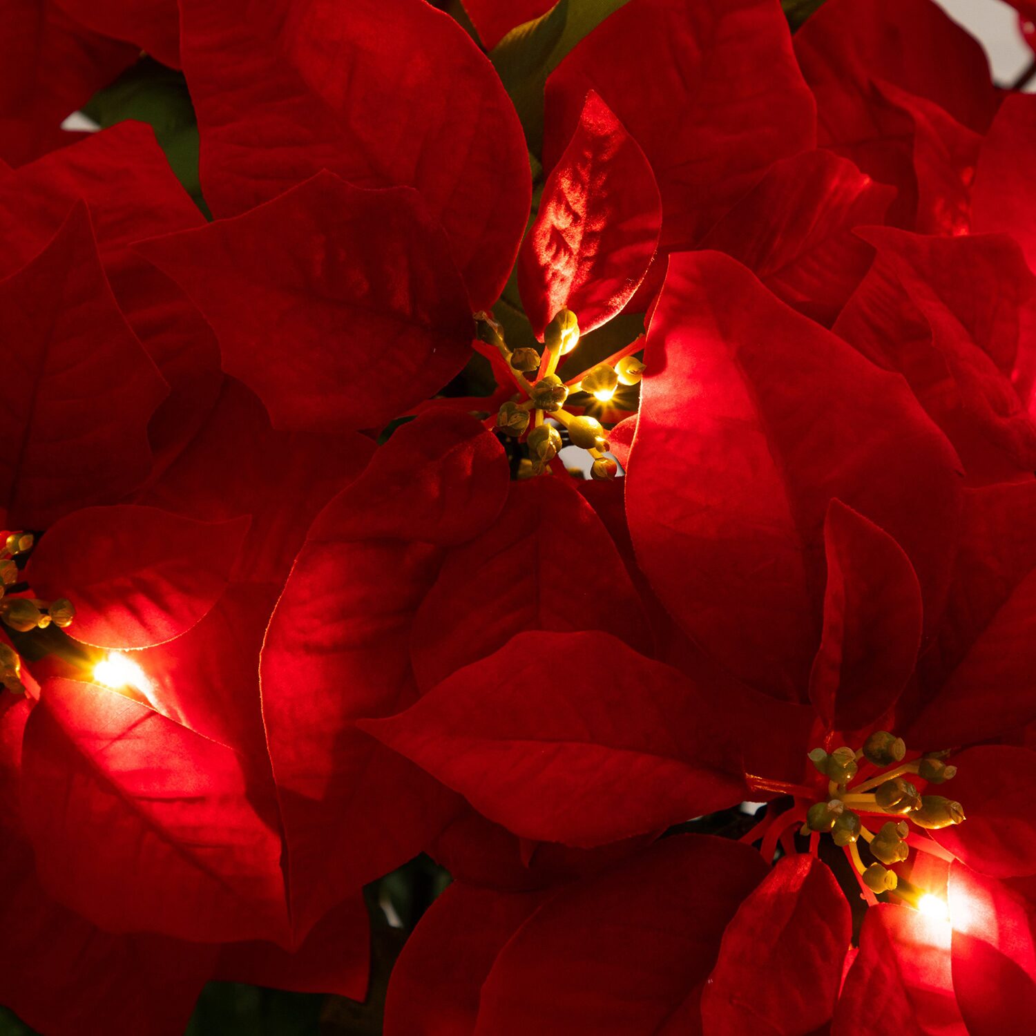 Nearly Natural 30" Pre-Lit Grand Velvet Poinsettia Floral Arrangement