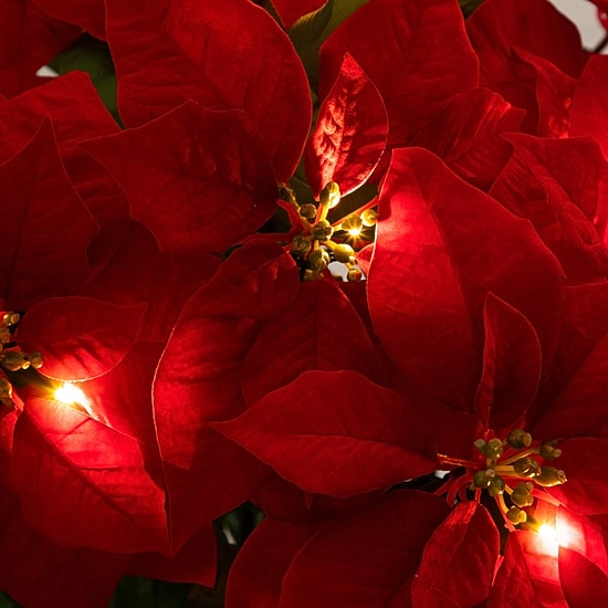 Nearly Natural 30" Pre-Lit Grand Velvet Poinsettia Floral Arrangement