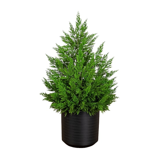 Nearly Natural Winter Cypress 3 Foot Christmas Tree