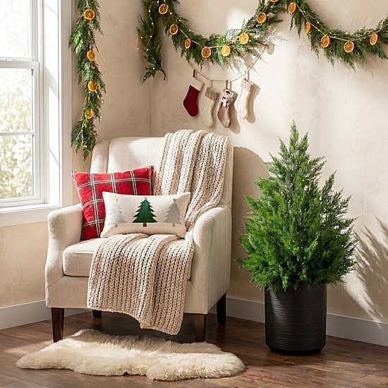 Nearly Natural Winter Cypress 3 Foot Christmas Tree