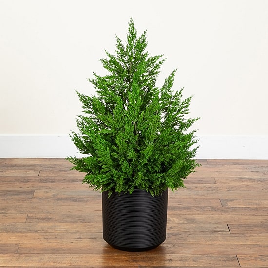 Nearly Natural Winter Cypress 3 Foot Christmas Tree