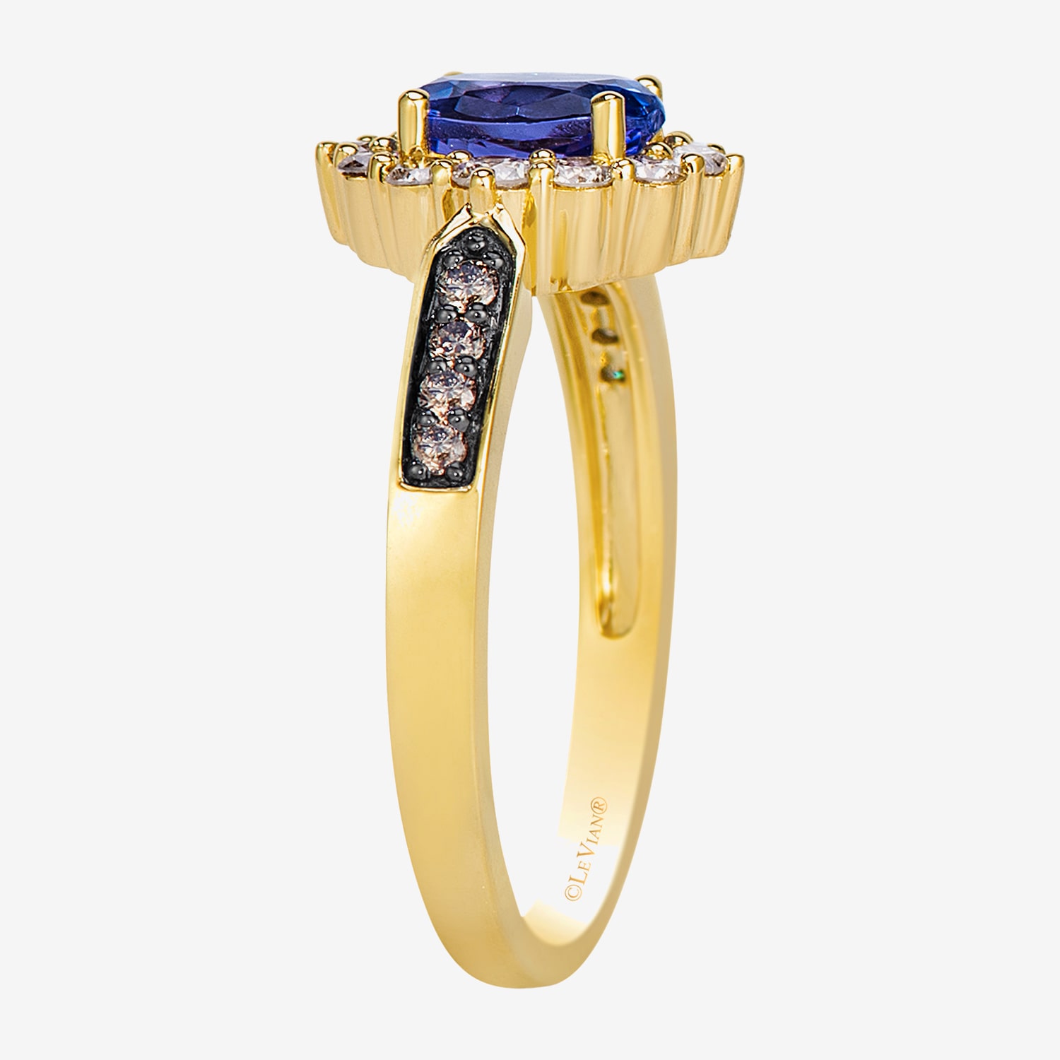 Levian Corp Le Vian Womens 3/8 CT. T.W. Genuine Blue Tanzanite 14K Gold Oval Halo Side Stone Cocktail Ring