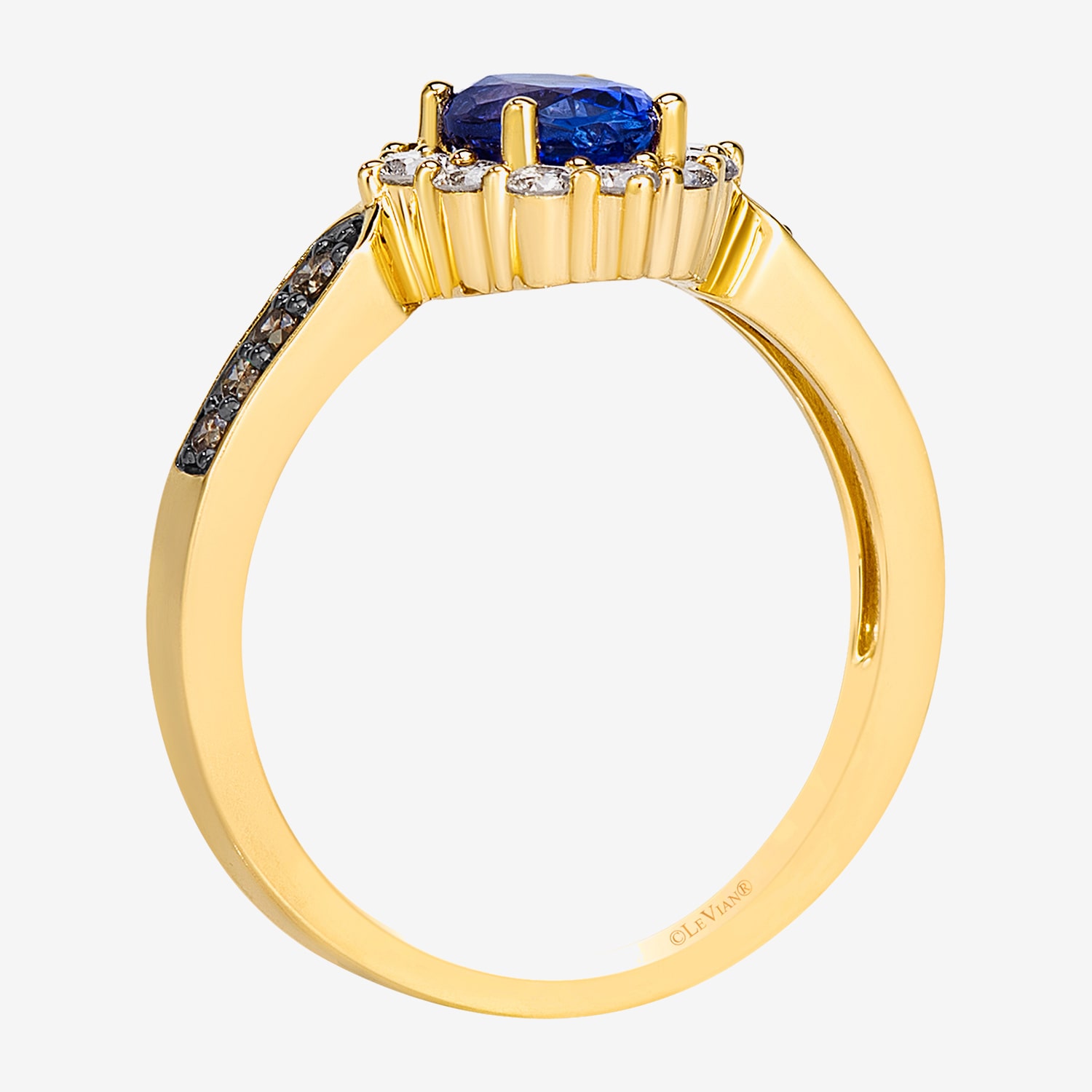 Levian Corp Le Vian Womens 3/8 CT. T.W. Genuine Blue Tanzanite 14K Gold Oval Halo Side Stone Cocktail Ring